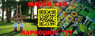 Альфа ПВП Жуковский