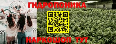 Альфа ПВП Жуковский