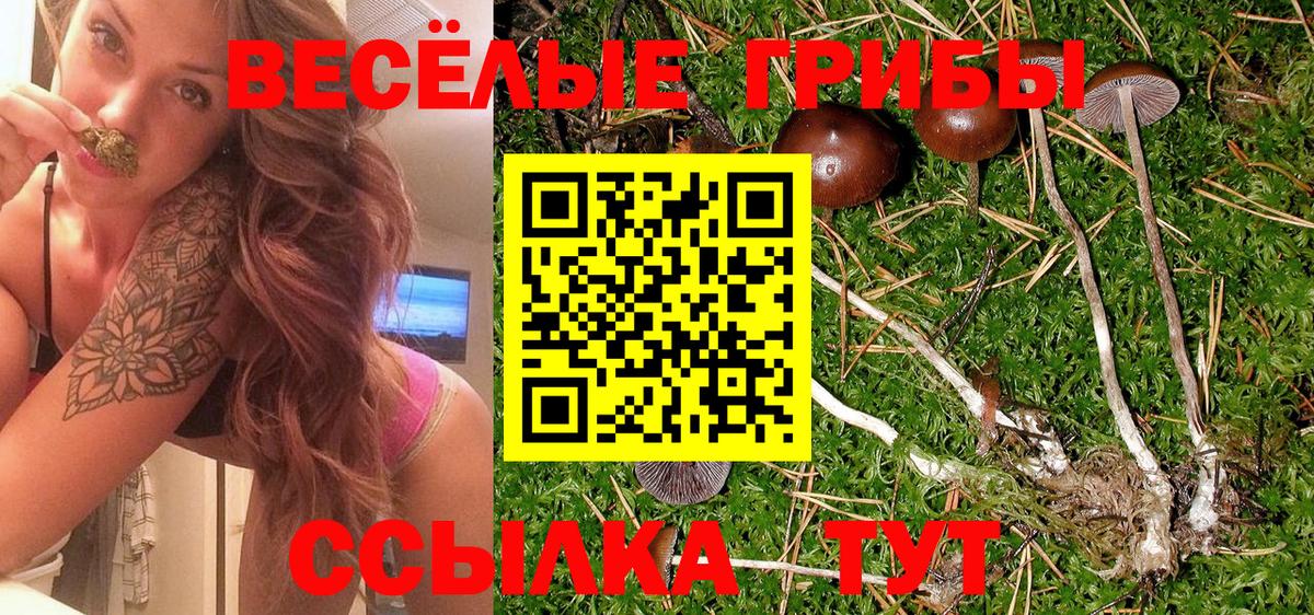 Минеральные Воды  Псилоцибиновые грибы MAGIC MUSHROOMS  Вход с VPN 