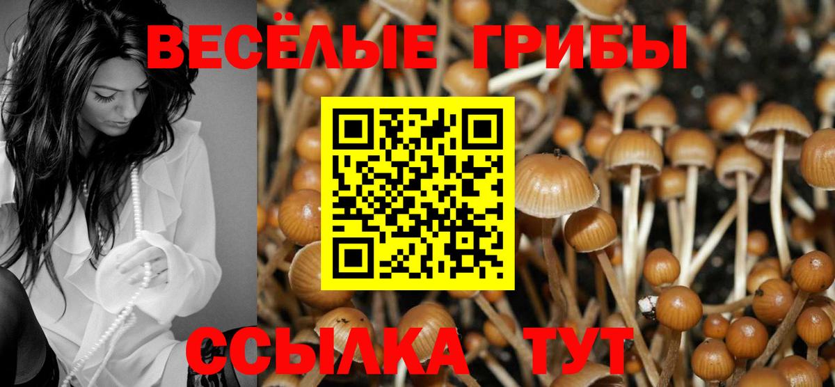 Галлюциногенные грибы Magic Shrooms Минеральные Воды